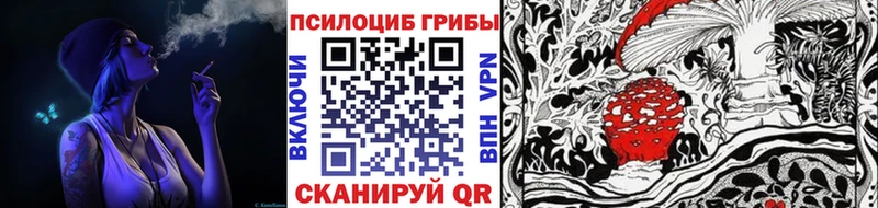 сколько стоит Ленинск Псилоцибиновые грибы ЛСД